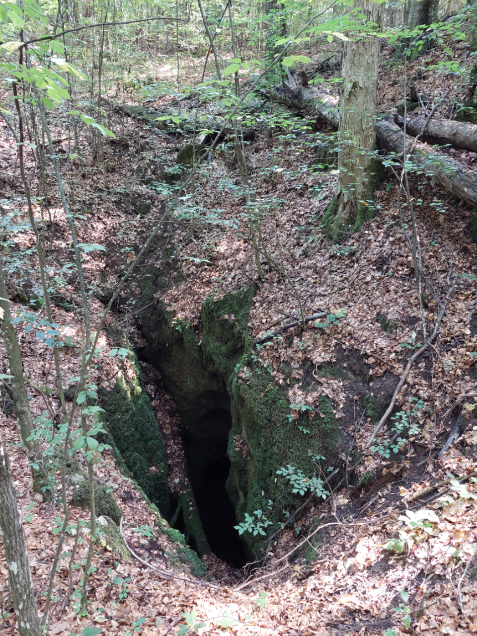 Avenul Pădurarului - Foto: Ghita Iancu